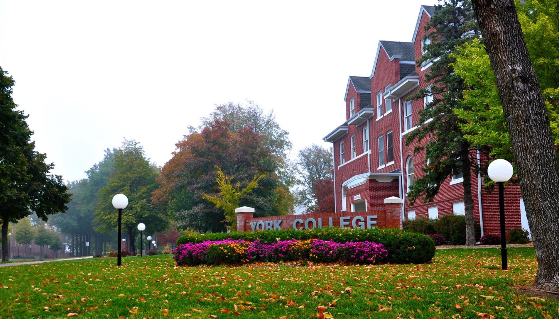 York College